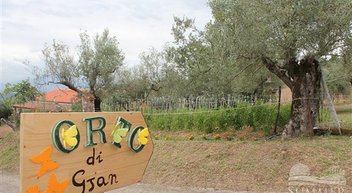 Fattoria Biologica L'Uliveto, San Carlo (CE) 2