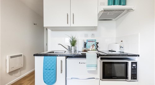 Prince Consort Village, London 3