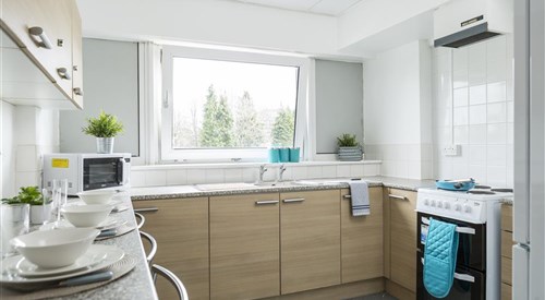 John Lester & Eddie Colman Courts (Campus Accommodation), Salford 4