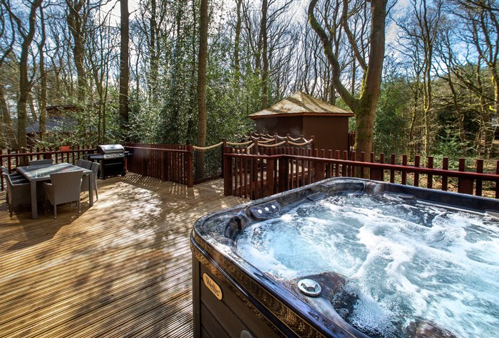 Treehouse Breaks at Forest Holidays, Delamere Forest photo 2