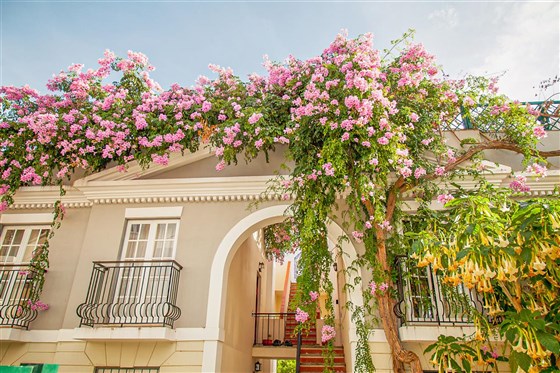 Jardins externos do resort