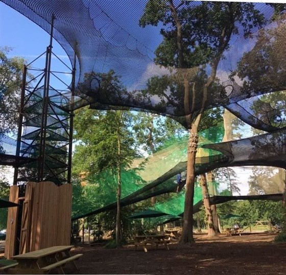 Go Ape