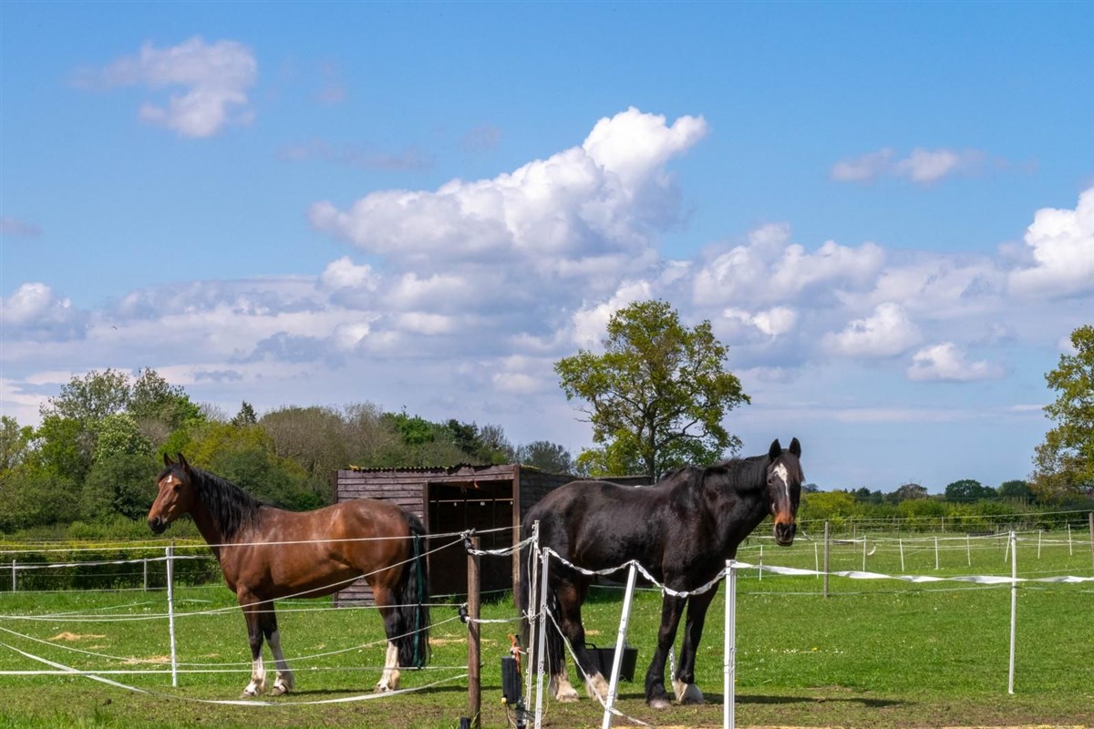 Lays Barn