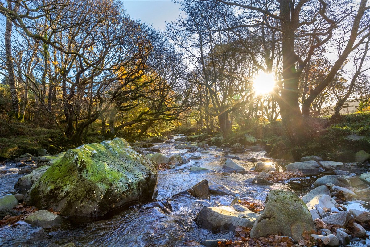 Forest Holidays, Beddgelert, Snowdonia, Wales