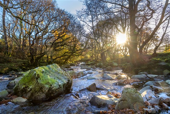 Forest Holidays, Beddgelert, Snowdonia, Wales