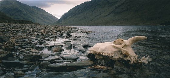 Doo Lough