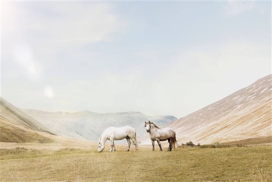 Atholl Estate Highland Lodges