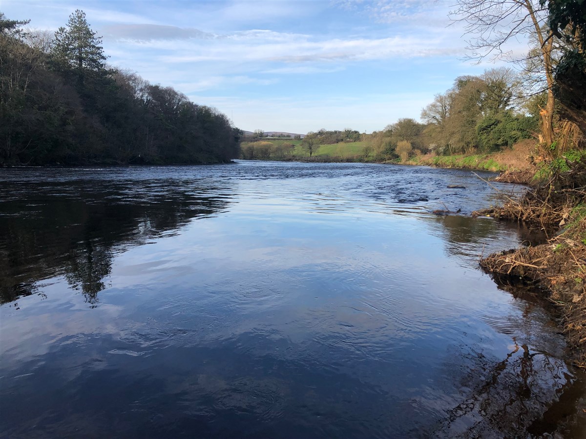 The Pan, Mc Namee’s on The River