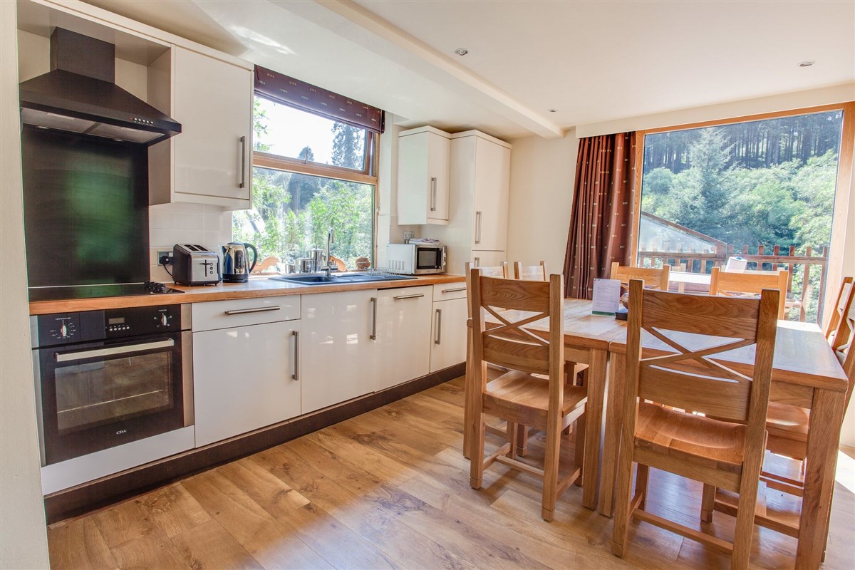 Treehouse Breaks at Forest Holidays, Deerpark
