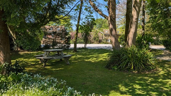 Communal Gardens