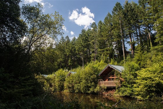 Forest Holidays, Deerpark, Cornwall