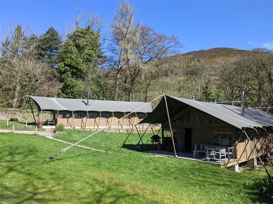 Luxury safari tents