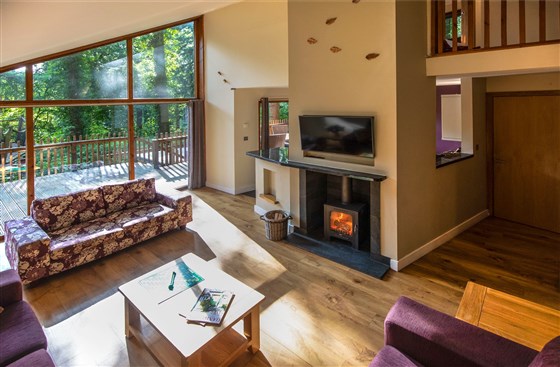 Treehouse Breaks at Forest Holidays, Blackwood Forest