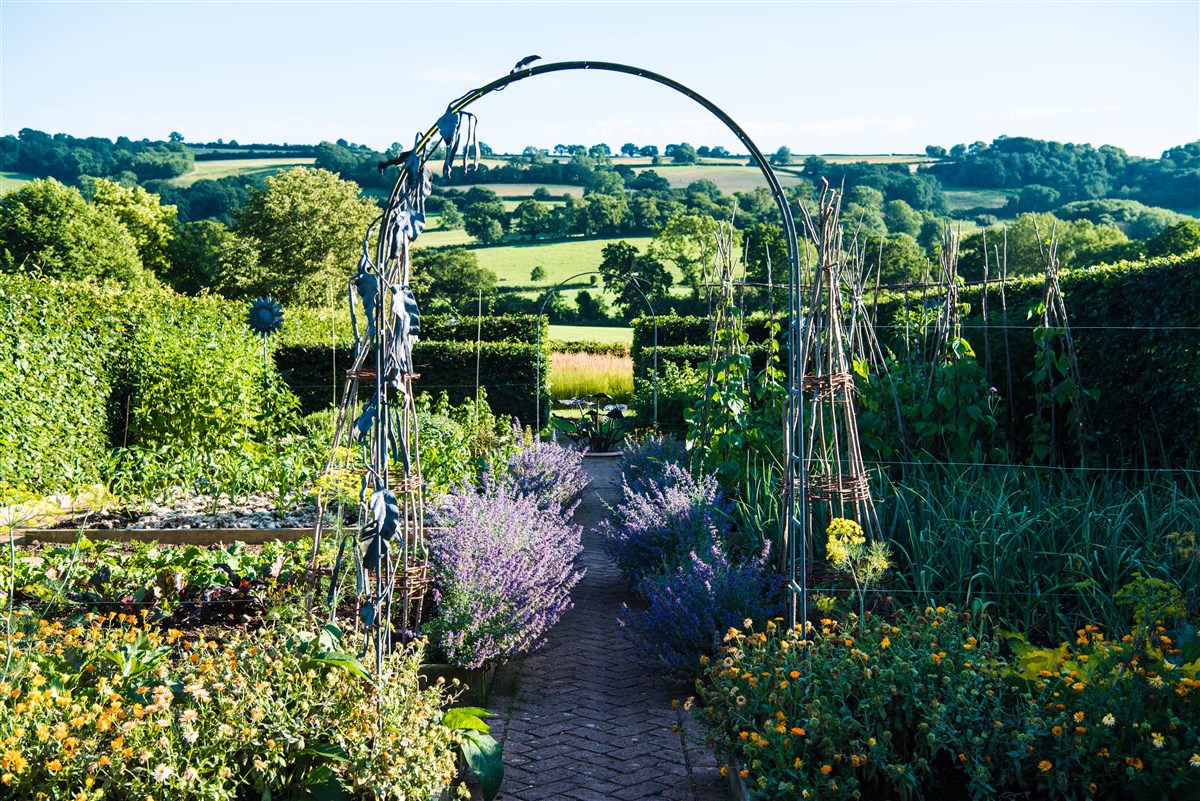 Yeo Valley Organic Garden