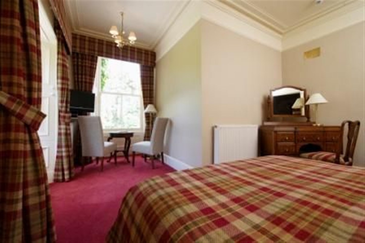 King Room