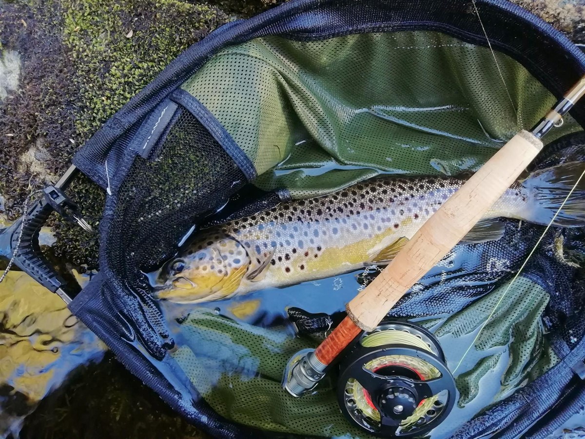 Watershed Fly Fishing
