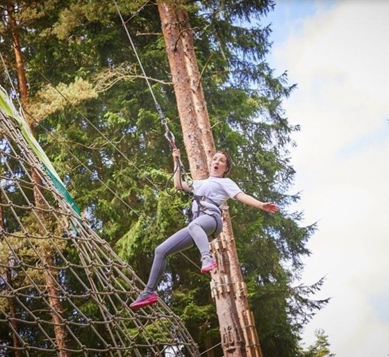 Go Ape