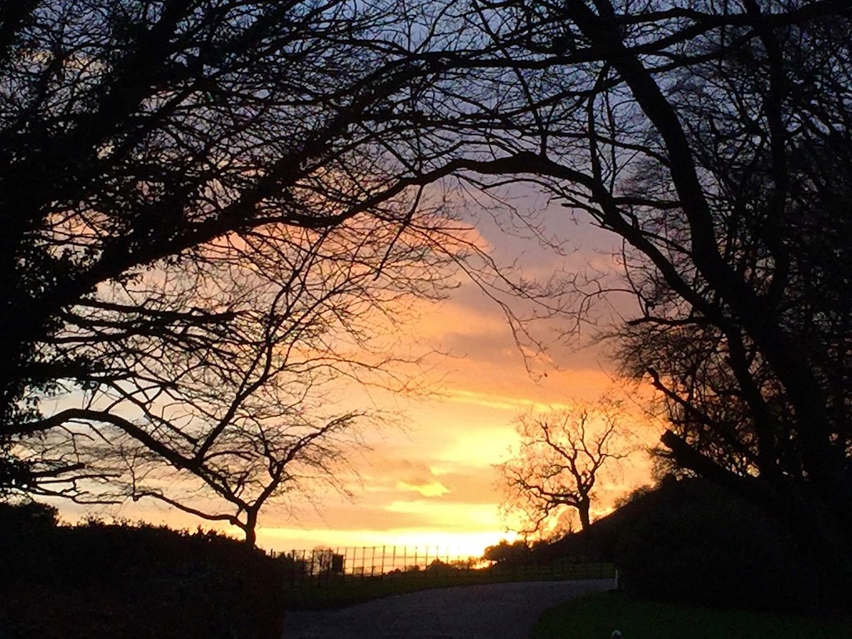 Autumnal sunset