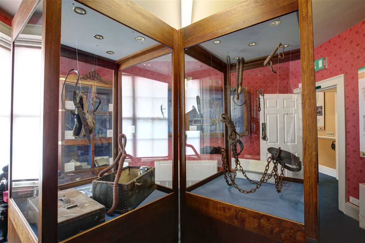 Veterinary equipment 