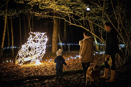 Forest Holidays Garwnant, Brecon Beacons