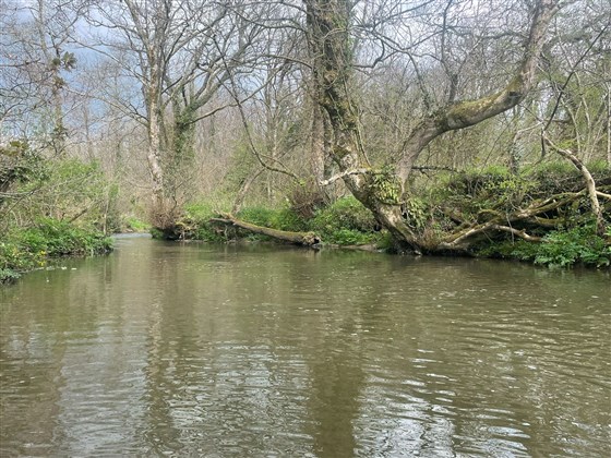 Upstream