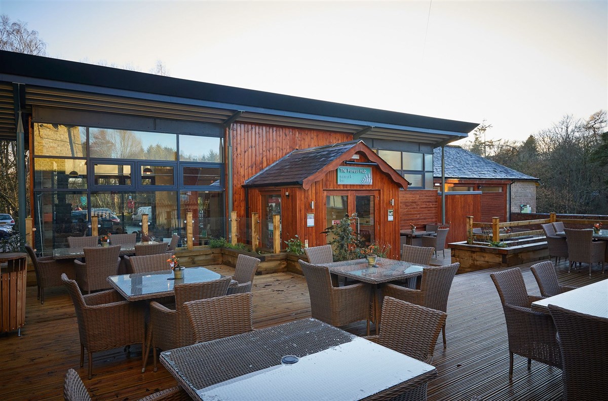 Treehouse Breaks at Forest Holidays, Keldy