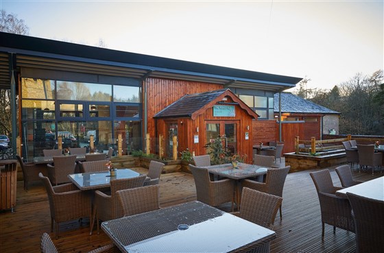 Treehouse Breaks at Forest Holidays, Keldy