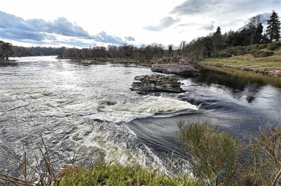 The Linn 