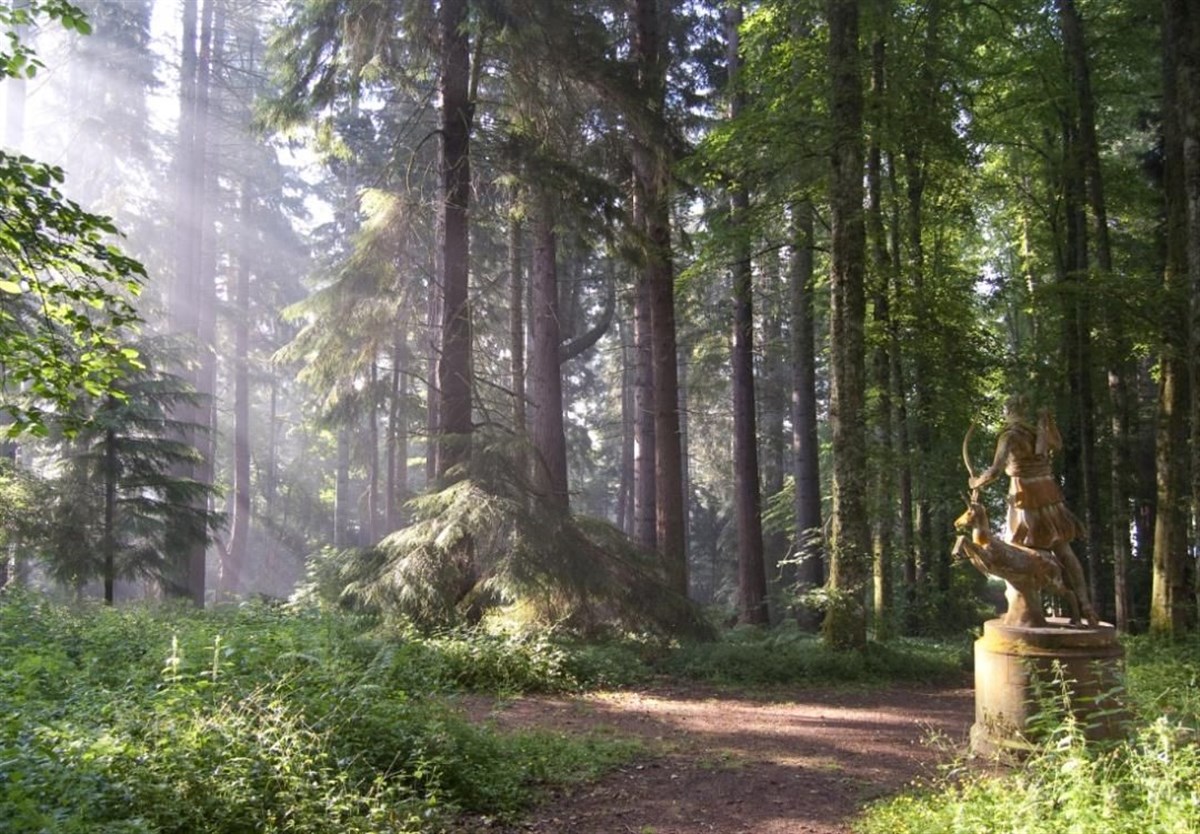 Le bosquet de Diana