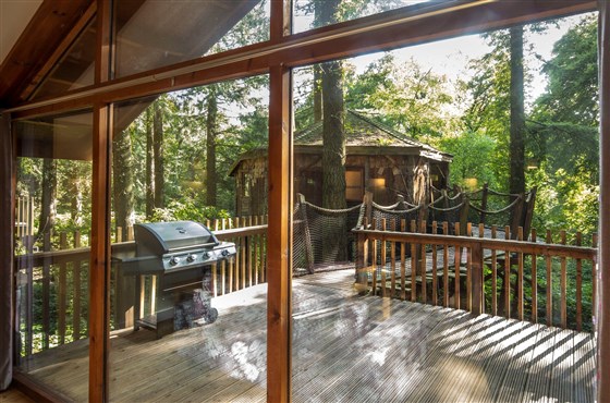Treehouse Breaks at Forest Holidays, Deerpark