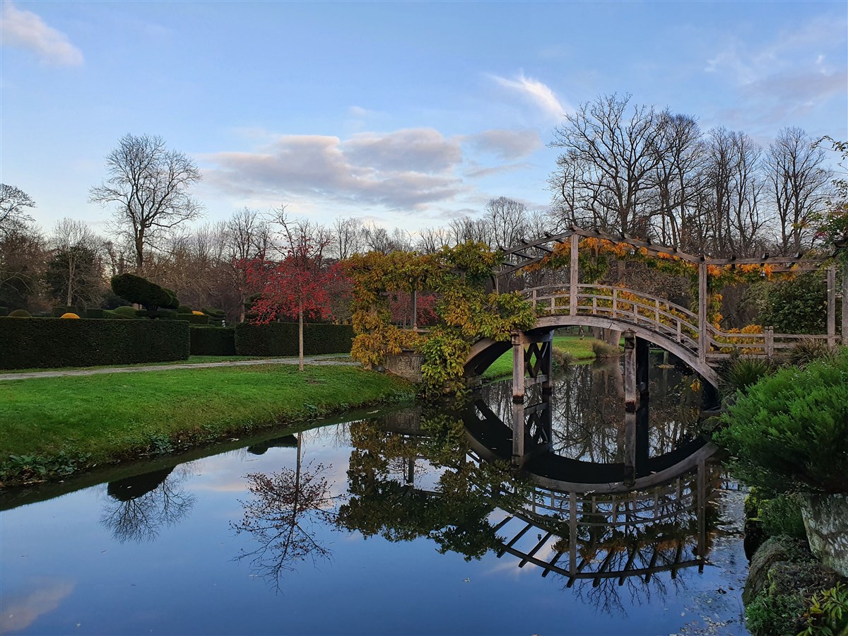 The Saxon Moat