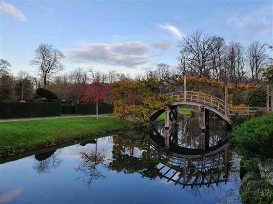 The Saxon Moat