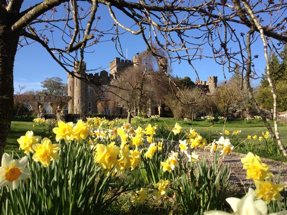Spring at Augill Castle 