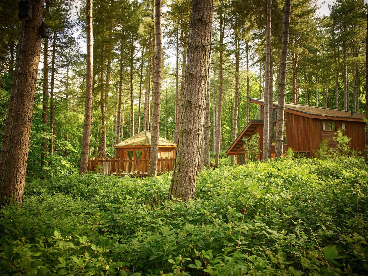 Forest Holidays, Sherwood Forest, Nottinghamshire