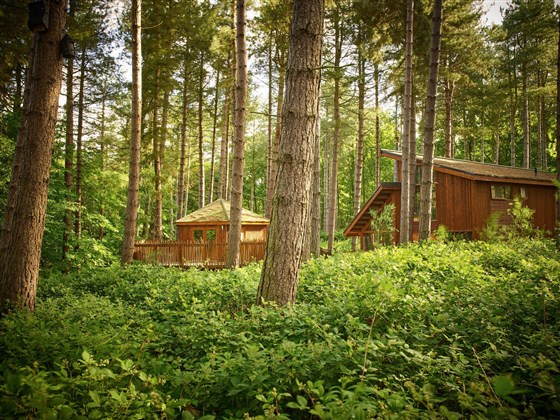 Forest Holidays, Sherwood Forest, Nottinghamshire