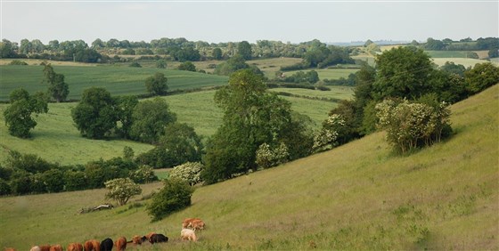 Uplands House