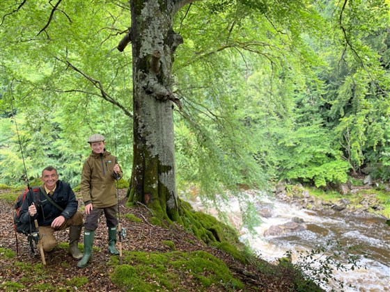 Looking down on Falls, with Ghillie
