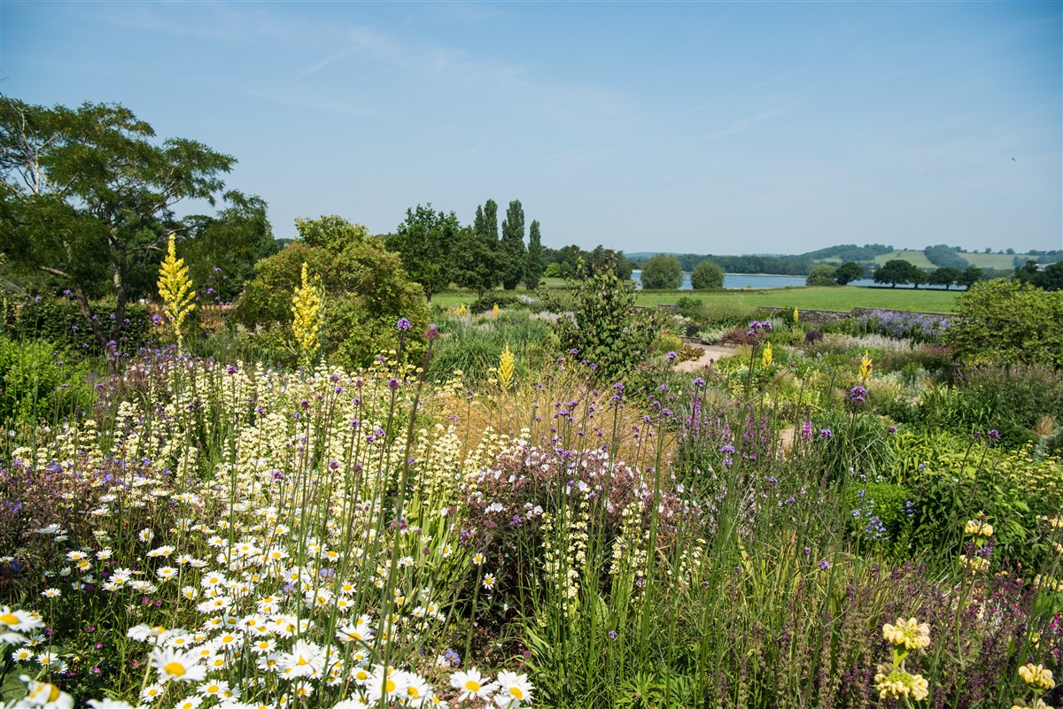 The gravel garden