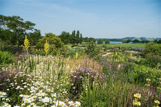 The gravel garden
