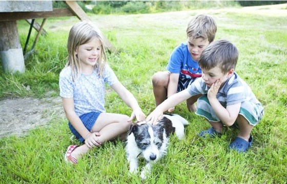 actividades para niños