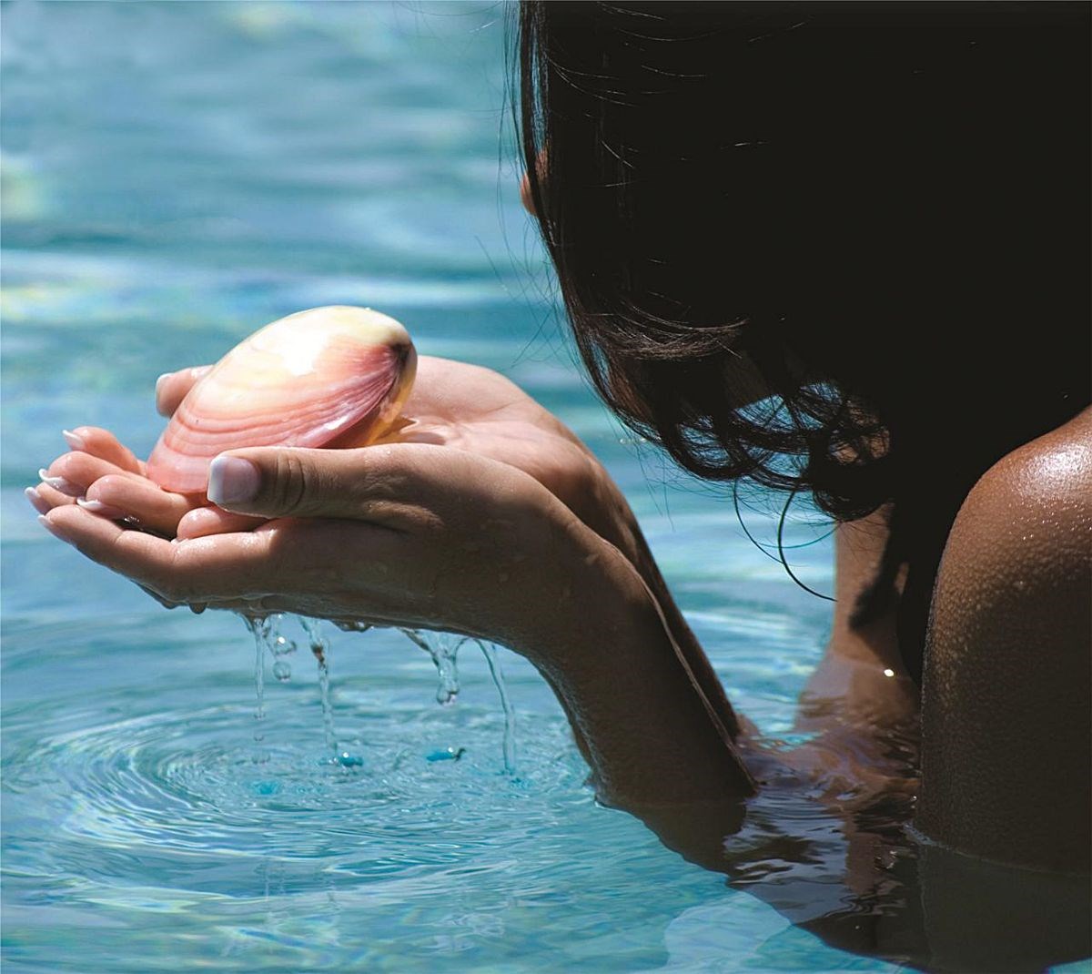 Sea Shells