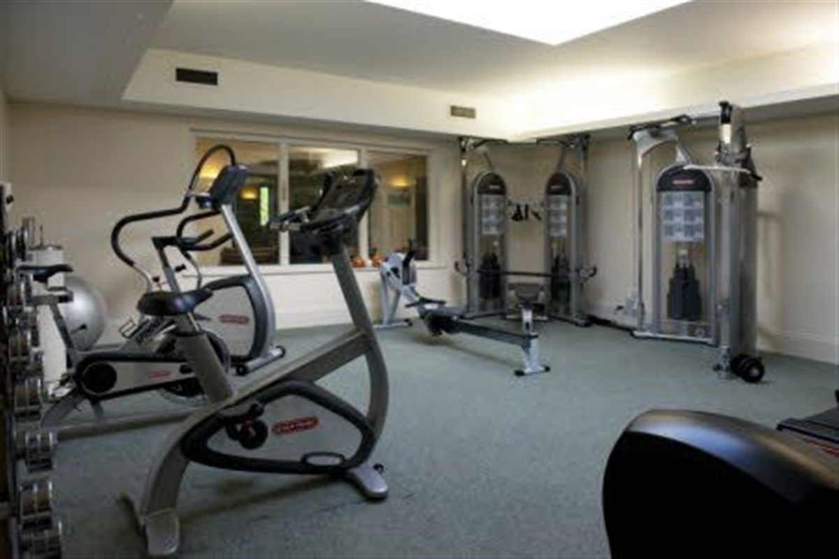The gymnasium