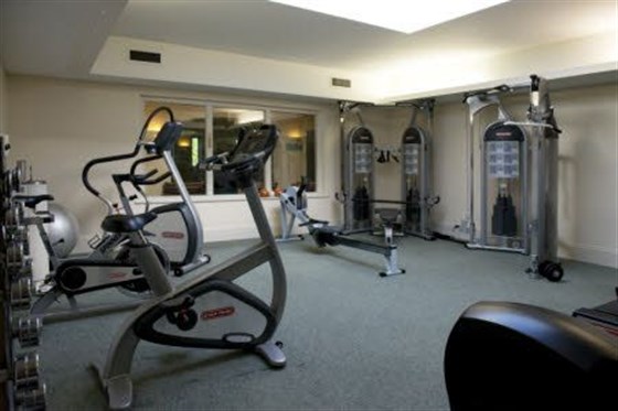 The gymnasium