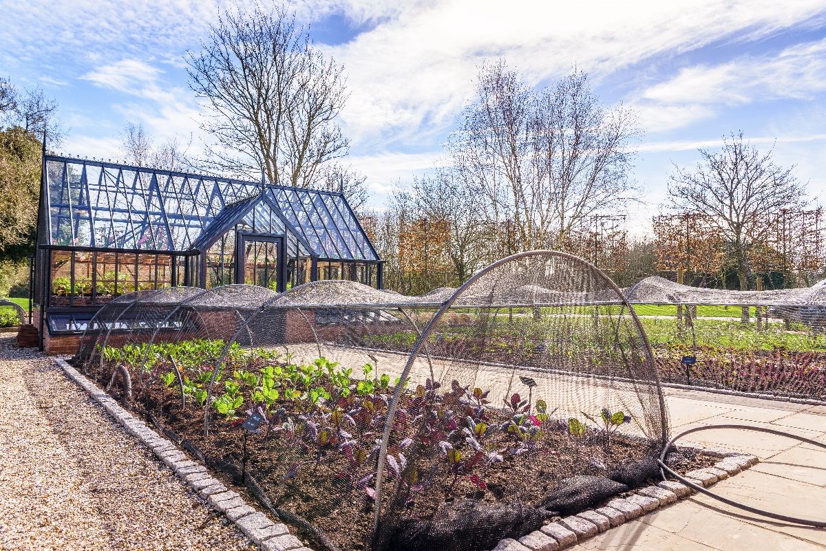 The Kitchen Greenhouse