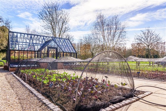 The Kitchen Greenhouse