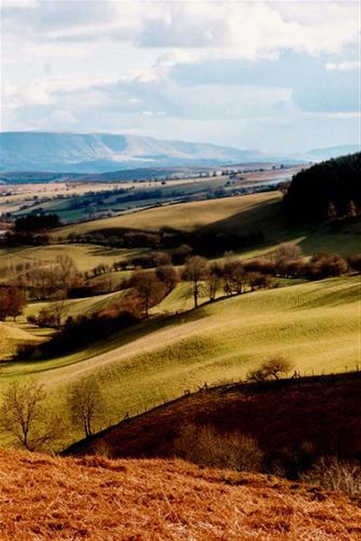 Black Mountains