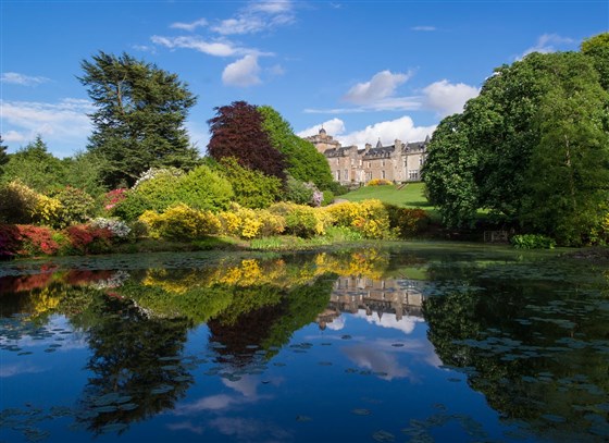 Azalea Pond 