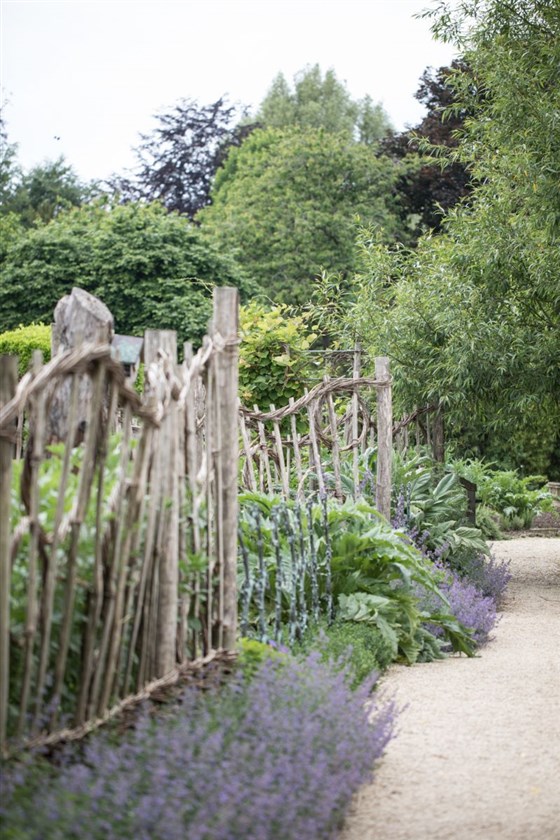 Pathway to herb patch