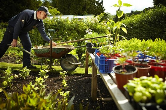 Kitchen Garden