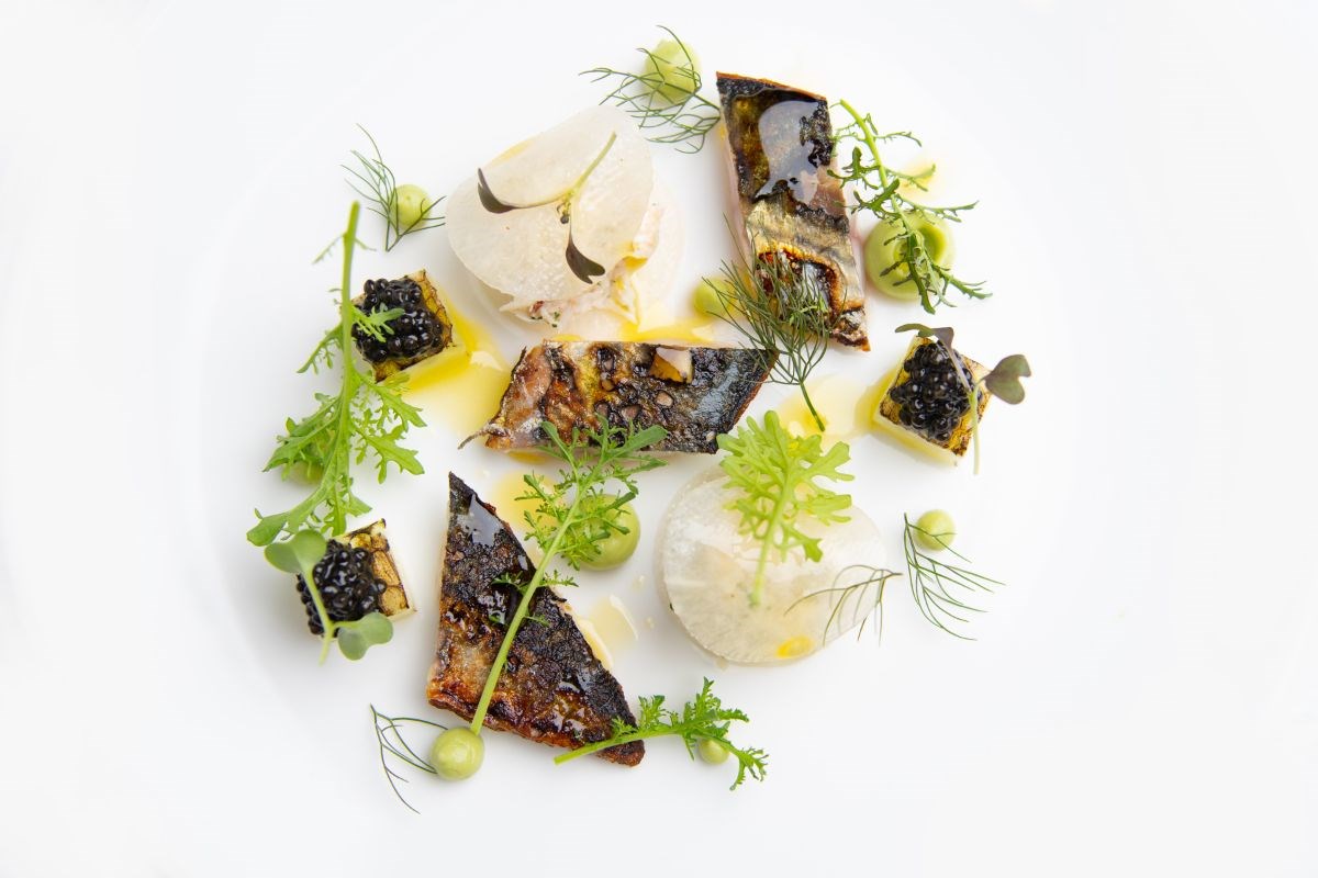Starter